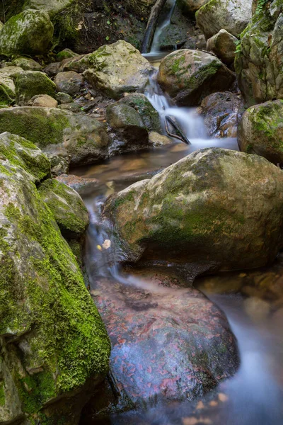 一条在加泰罗尼亚潮湿的森林中流淌的河流 — 图库照片