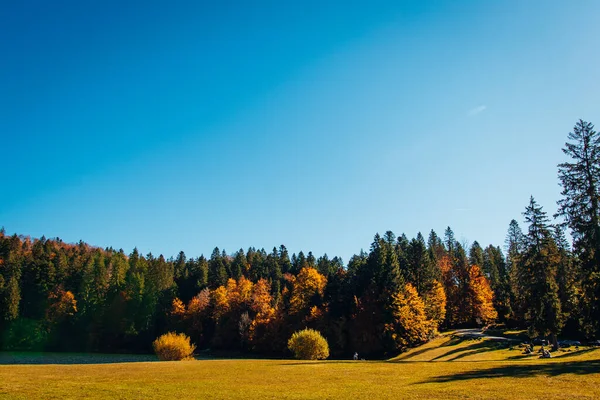 Colorato Paesaggio Rurale Autunno — Foto Stock