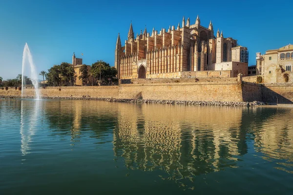 Une Belle Vue Sur Grande Cathédrale Palma Majorque Entourée Par — Photo