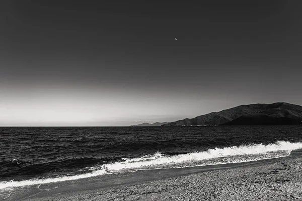 Чорно Біле Фото Красивого Пляжу Хвилею Моря — стокове фото