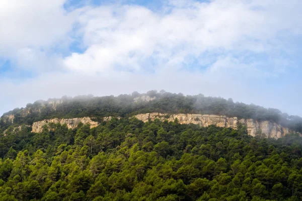 Beautiful Landscape Mountain Forest Aiguafreda Catalonia — Zdjęcie stockowe