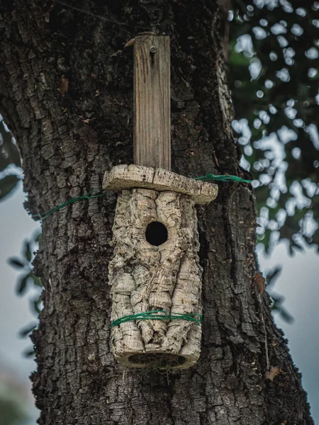 Кормушка Птиц Дереве — стоковое фото