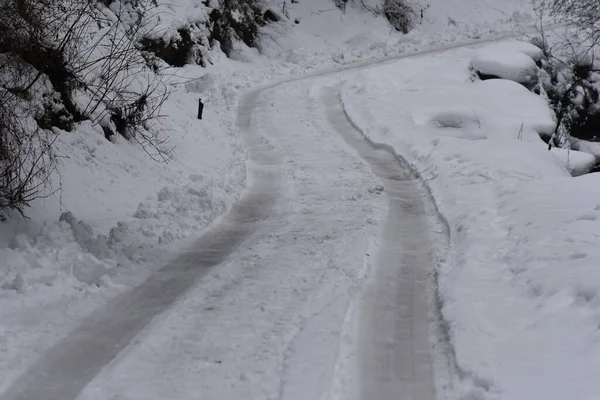 Camino Cubierto Nieve Bosque — Foto de Stock
