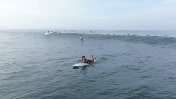 Imágenes Surfistas Agua — Vídeos de Stock