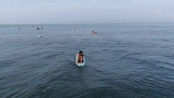 Imagens Surfistas Água — Vídeo de Stock
