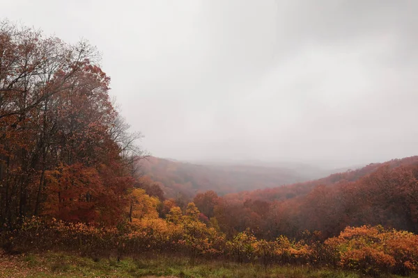 Prachtig Herfstlandschap Met Bomen Bladeren — Stockfoto