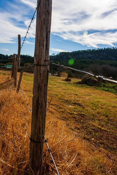 Hermoso Paisaje Con Árbol Una Cerca —  Fotos de Stock