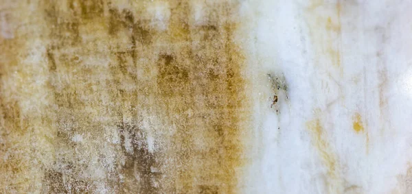 Beyaz Mermer Dokusunu Kapat — Stok fotoğraf