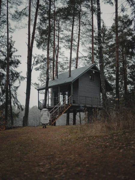 Maison Bois Rond Dans Forêt — Photo