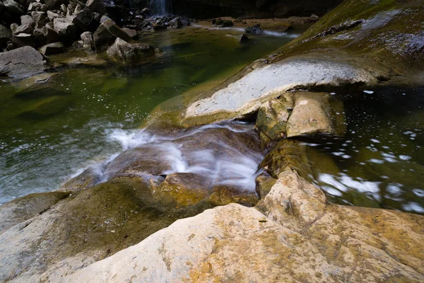一条在加泰罗尼亚潮湿的森林中流淌的河流 — 图库照片