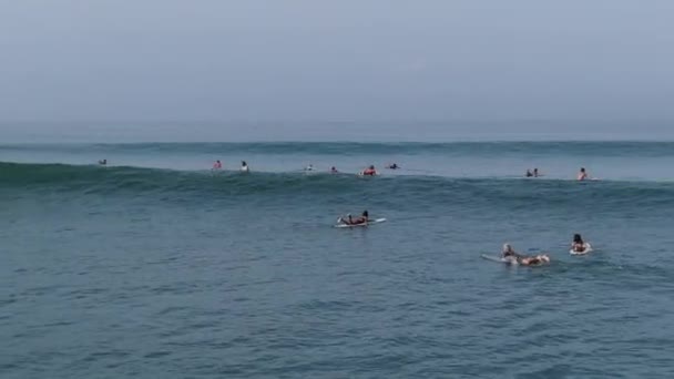 Záběry Surfařů Vodě — Stock video