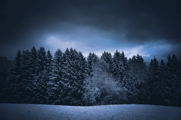 Wald Bayern Winter Mit Blauem Nebel Abend Mit Nebel Und — Fotografia de Stock