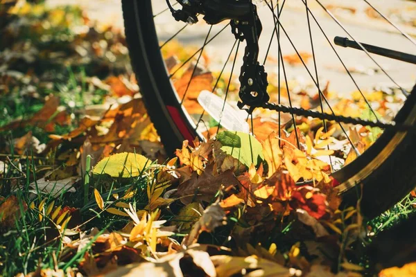 Fahrrad Mit Herbstlaub Auf Dem Boden — Stockfoto