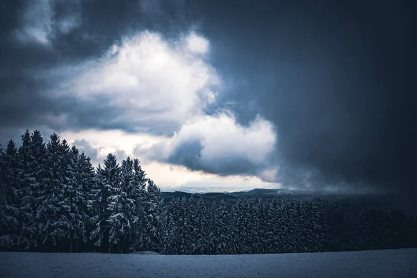Wald Bayern Winter Mit Blauem Nebel Abend Mit Nebel Und — 스톡 사진