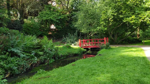 아름다운 정원에 이르는 — 스톡 사진