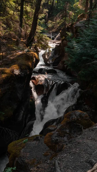 Bela Vista Uma Pequena Cachoeira — Fotografia de Stock
