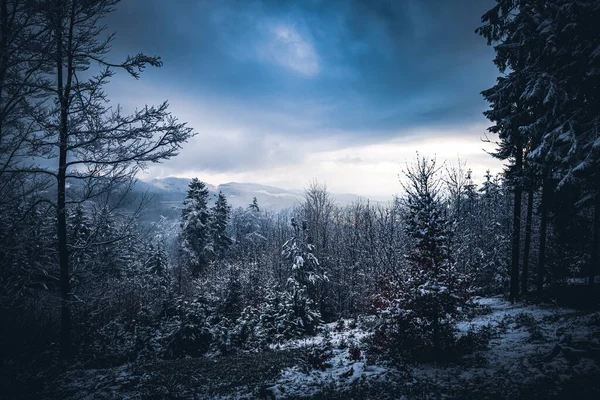 Wald Bayern Winter Mit Blauem Nebel Abend Mit Nebel Und — стокове фото