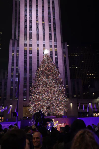 Christmas Tree Night — Stock Photo, Image