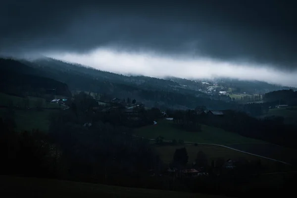 Wald Bayern Winter Mit Blauem Nebel Abend Mit Nebel Und — Stockfoto