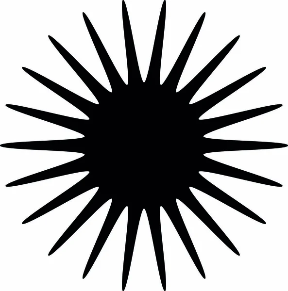 Étoile Concentrique Rayonnante Radiale Éclate Illustration Vectorielle — Image vectorielle