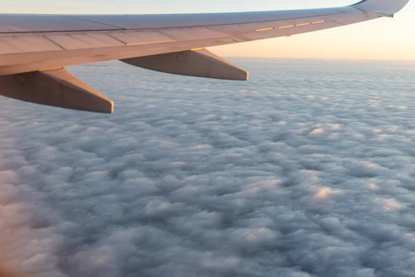 비행기 창문의 — 스톡 사진