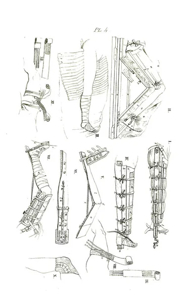 Uma Ilustração Preto Branco Livro Anatomia Século Xix — Fotografia de Stock