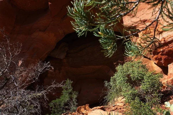 Hermosa Vista Del Gran Cañón Utah —  Fotos de Stock