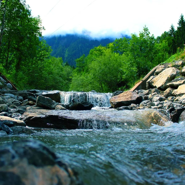 Wunderschöne Landschaft Mit Fluss Und Wald — Stockfoto