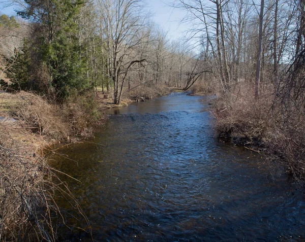 Rivière Dans Forêt — Photo