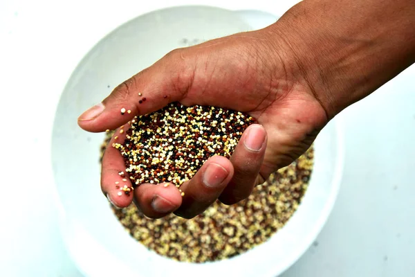 Hands Holding Seed Seeds Hand — Stock Photo, Image