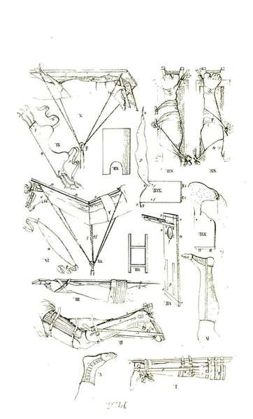 Black White Illustration Human Body Parts Nineteenth Century Anatomy Textbook — Φωτογραφία Αρχείου