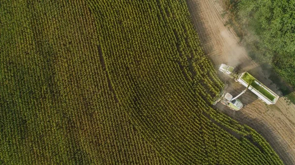 空中无人飞机俯瞰葡萄园的乡村风景 前景广阔 — 图库照片