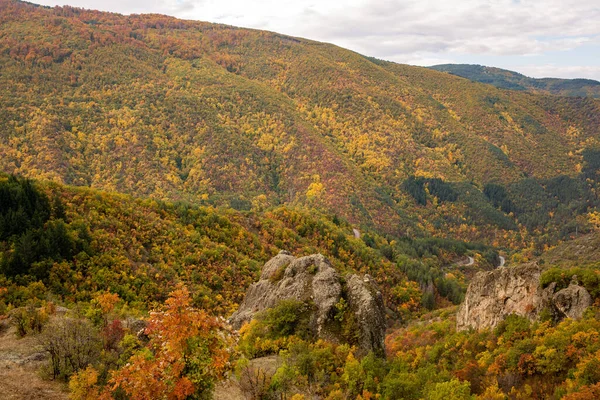 Beautiful Autumn Landscape Trees Mountains — Stock Photo, Image