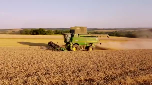 Erntemaschine Einem Weizenfeld — Stockvideo