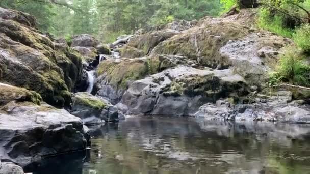 Pionowe ujęcie skał w strumieniu płynącej wody — Wideo stockowe