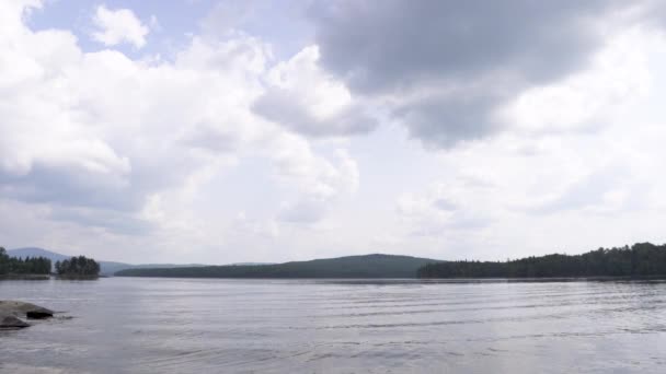 Θέα Από Λίμνη Στο Δάσος — Αρχείο Βίντεο