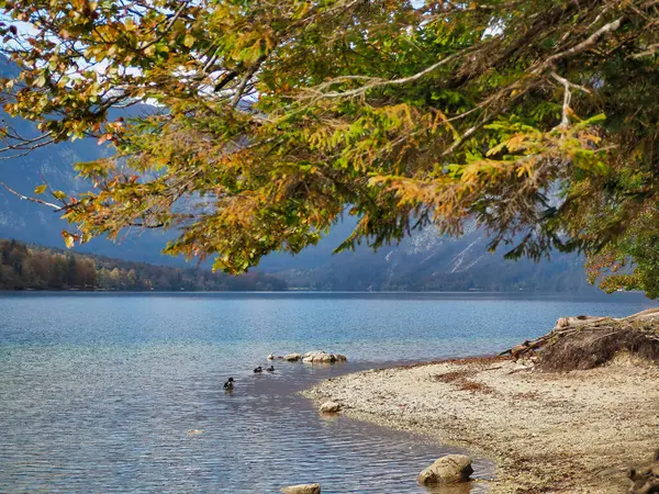 Dağlardaki Gölün Güzel Manzarası — Stok fotoğraf
