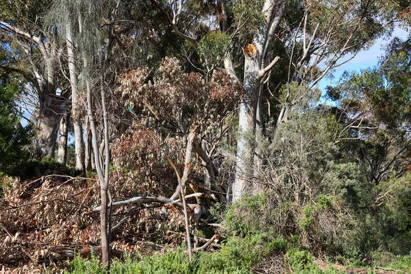 Vacker Utsikt Över Det Döda Havets Natur Israel — Stockfoto