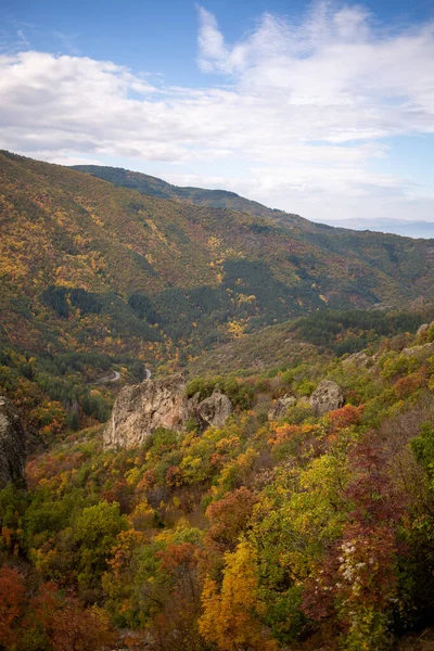 Piękny Jesienny Krajobraz Drzewami Górami — Zdjęcie stockowe