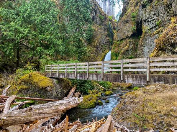 Belle Vue Sur Rivière Dans Forêt — Photo