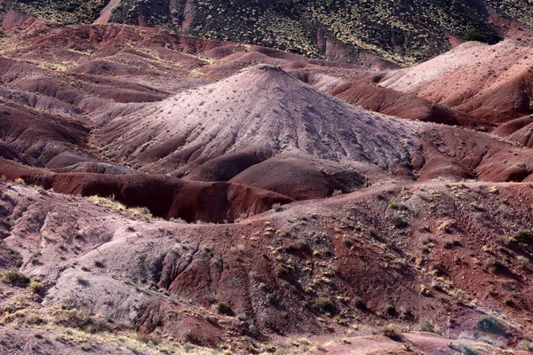 Vackert Landskap Negev Öknen Norra Israel — Stockfoto