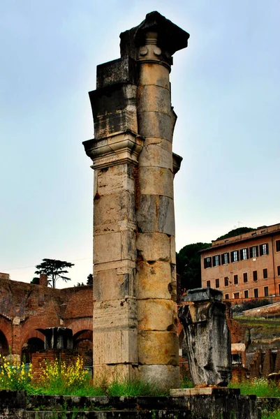 Ruínas Antigo Fórum Romano Roma Itália — Fotografia de Stock