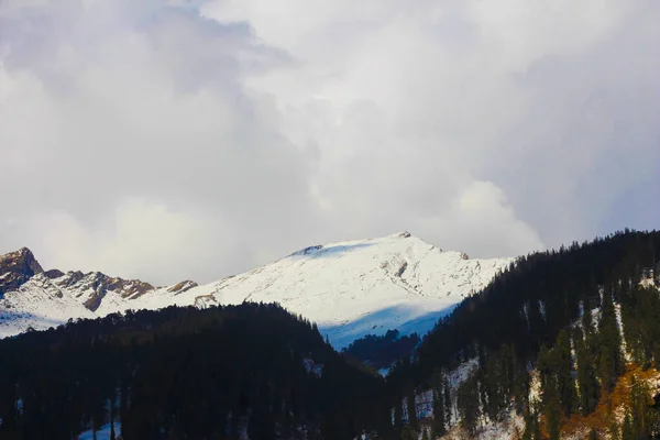 Dağlarda Karla Kaplı Ağaçlarla Kaplı Güzel Bir Manzara — Stok fotoğraf