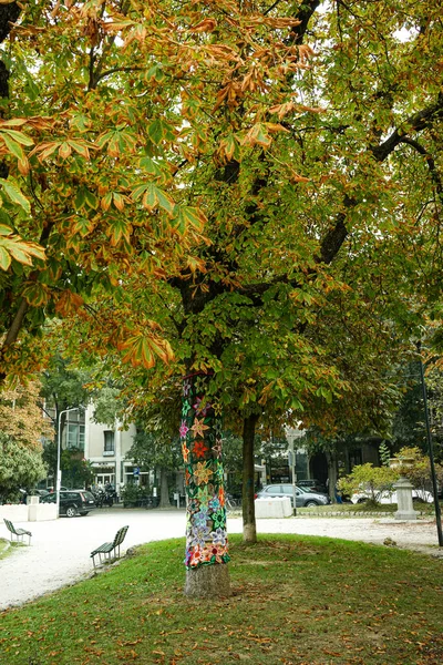 Herfstpark Stad — Stockfoto