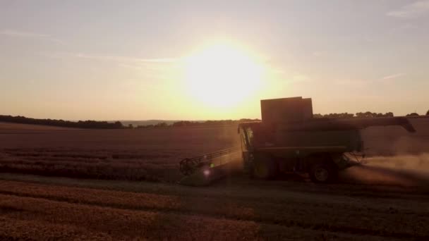 Moissonneuse Dans Champ Blé — Video