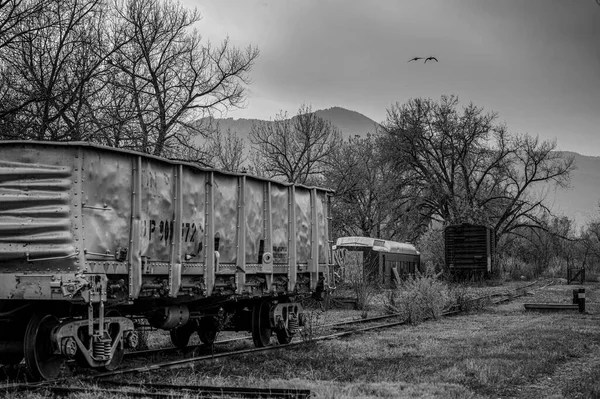 Alte Lokomotive Wald — Stockfoto