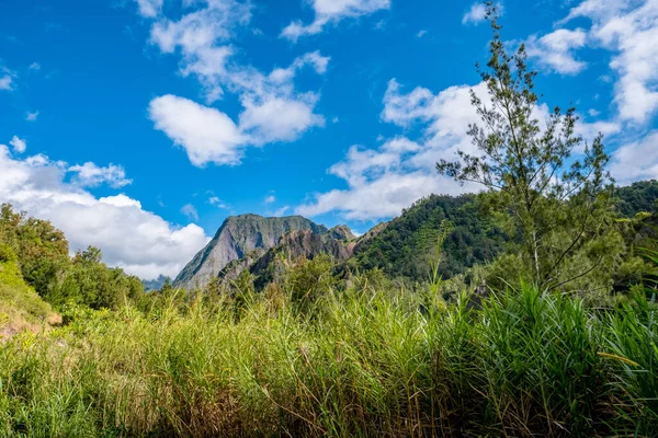 Une Belle Journée Été Salazie Réunion France Avec Une Verdure — Photo