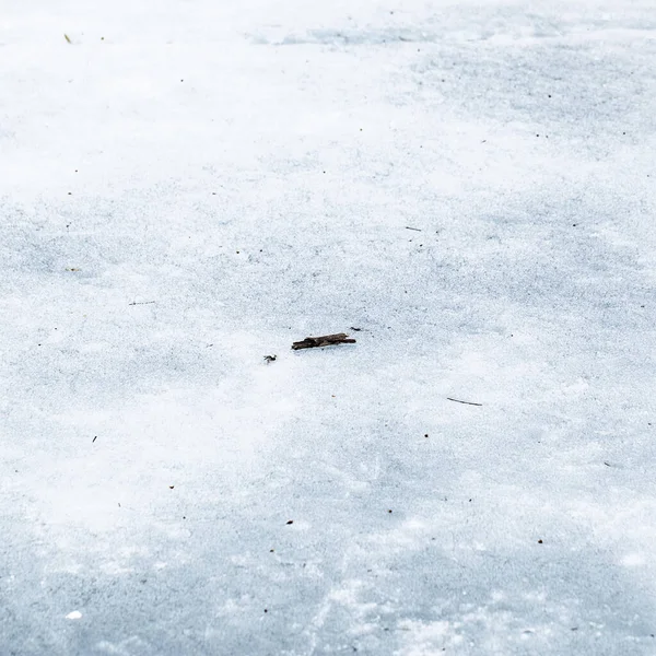 Footprints Ground Snow — Stock Photo, Image