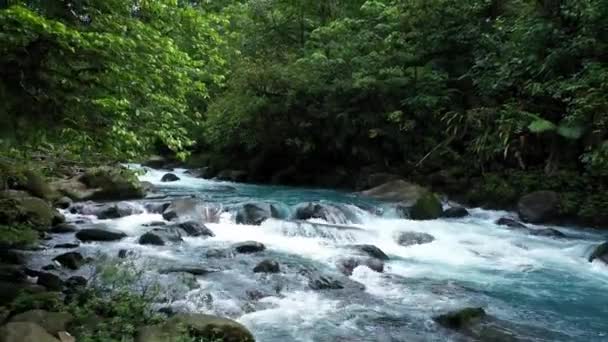 Függőleges lövés sziklák egy patak folyó víz — Stock videók