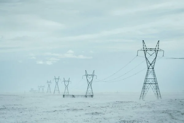 High Voltage Power Lines Field — Stock Photo, Image
